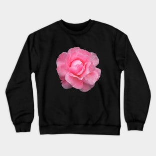 Raindrops Dew on Pink Rose Flower Crewneck Sweatshirt